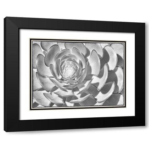 One After Another II Black Modern Wood Framed Art Print with Double Matting by Hartson-Weddle, Ryan