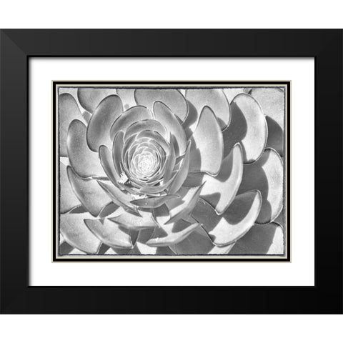 One After Another II Black Modern Wood Framed Art Print with Double Matting by Hartson-Weddle, Ryan