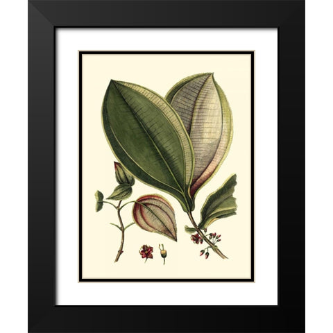 Buchoz Leaves V Black Modern Wood Framed Art Print with Double Matting by Vision Studio