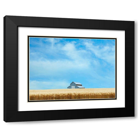 Barn Scene IX Black Modern Wood Framed Art Print with Double Matting by McLoughlin, James