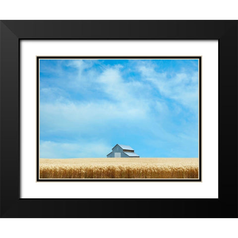 Barn Scene IX Black Modern Wood Framed Art Print with Double Matting by McLoughlin, James