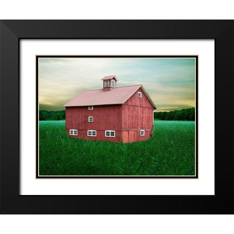 Barn Scene XII Black Modern Wood Framed Art Print with Double Matting by McLoughlin, James
