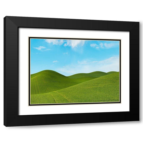 Farmscape Photo III Black Modern Wood Framed Art Print with Double Matting by McLoughlin, James