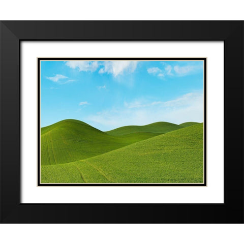 Farmscape Photo III Black Modern Wood Framed Art Print with Double Matting by McLoughlin, James