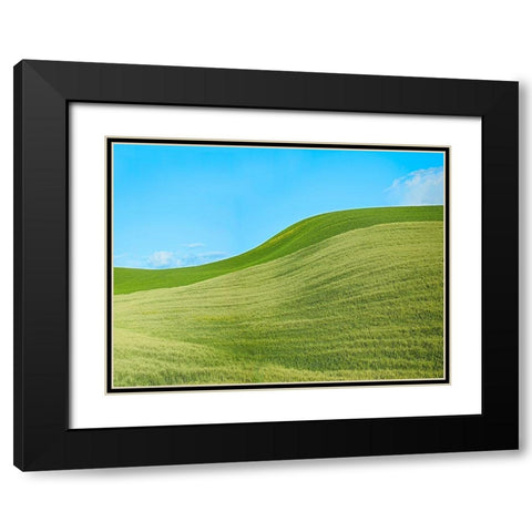 Farmscape Photo IV Black Modern Wood Framed Art Print with Double Matting by McLoughlin, James