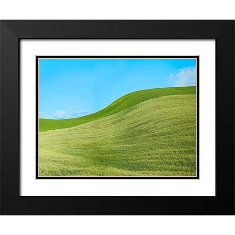 Farmscape Photo IV Black Modern Wood Framed Art Print with Double Matting by McLoughlin, James
