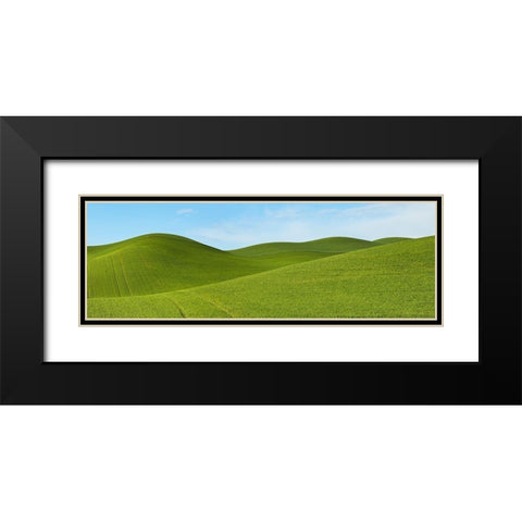 Farmscape Panorama VII Black Modern Wood Framed Art Print with Double Matting by McLoughlin, James
