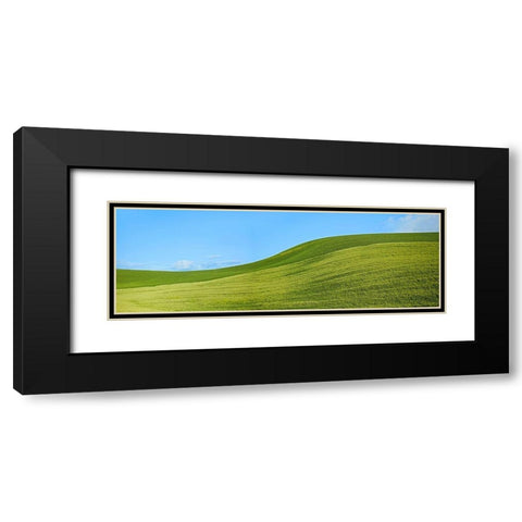 Farmscape Panorama VIII Black Modern Wood Framed Art Print with Double Matting by McLoughlin, James