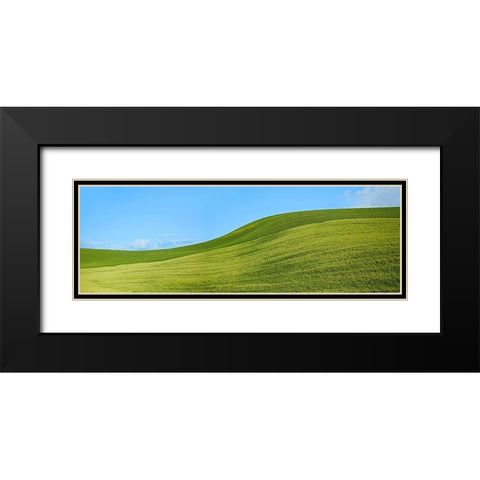Farmscape Panorama VIII Black Modern Wood Framed Art Print with Double Matting by McLoughlin, James