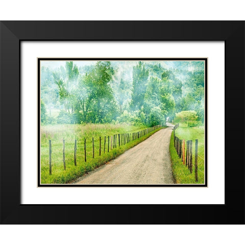 Country Road Photo II Black Modern Wood Framed Art Print with Double Matting by McLoughlin, James