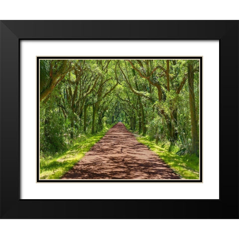 Country Road Photo IV Black Modern Wood Framed Art Print with Double Matting by McLoughlin, James