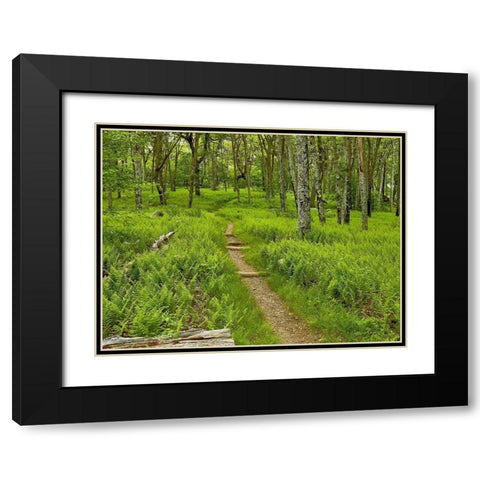 Country Road Photo V Black Modern Wood Framed Art Print with Double Matting by McLoughlin, James