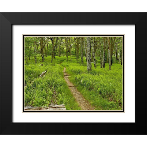 Country Road Photo V Black Modern Wood Framed Art Print with Double Matting by McLoughlin, James