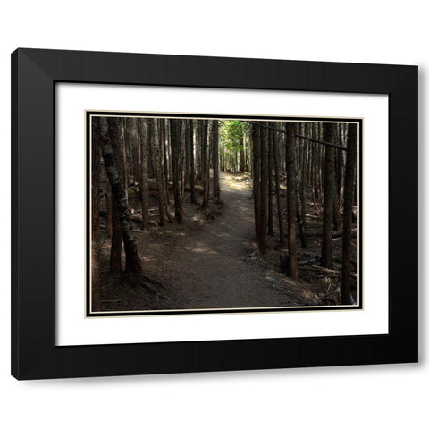 Country Road Photo VI Black Modern Wood Framed Art Print with Double Matting by McLoughlin, James