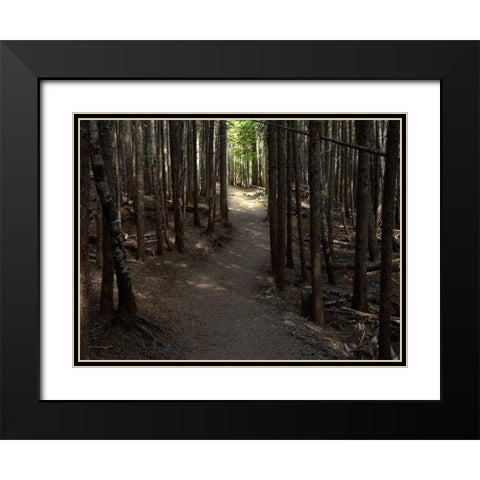 Country Road Photo VI Black Modern Wood Framed Art Print with Double Matting by McLoughlin, James