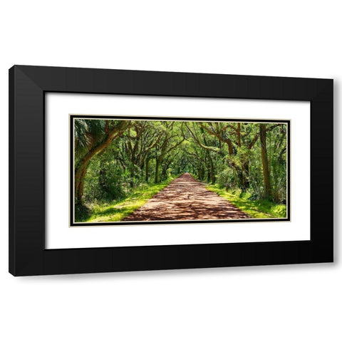 Country Road Photo VII Black Modern Wood Framed Art Print with Double Matting by McLoughlin, James