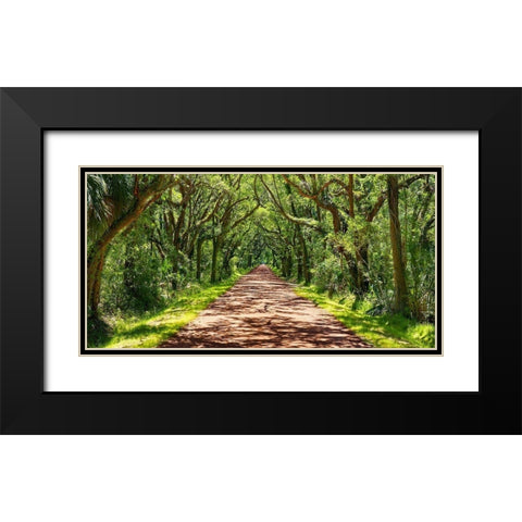 Country Road Photo VII Black Modern Wood Framed Art Print with Double Matting by McLoughlin, James