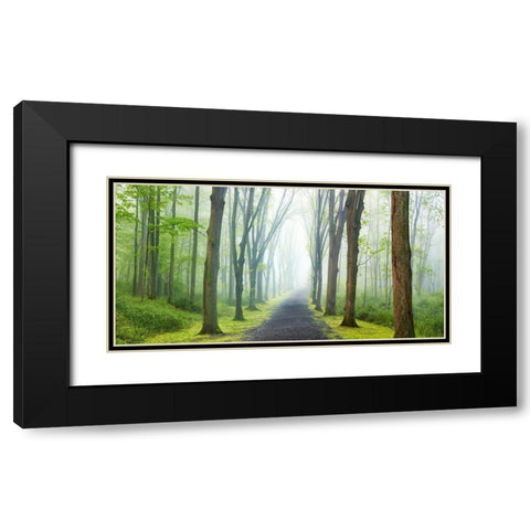 Country Road Photo VIII Black Modern Wood Framed Art Print with Double Matting by McLoughlin, James