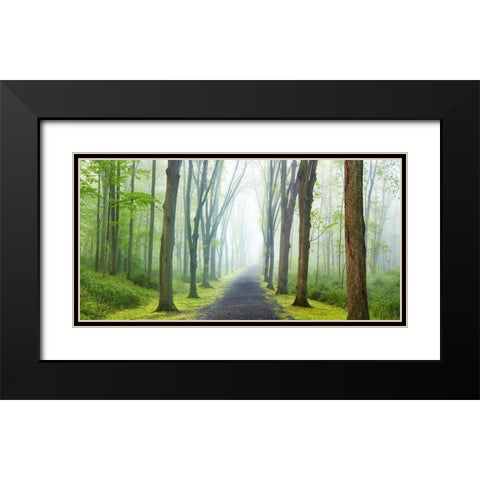 Country Road Photo VIII Black Modern Wood Framed Art Print with Double Matting by McLoughlin, James