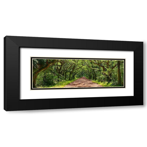 Country Road Panorama IV Black Modern Wood Framed Art Print with Double Matting by McLoughlin, James