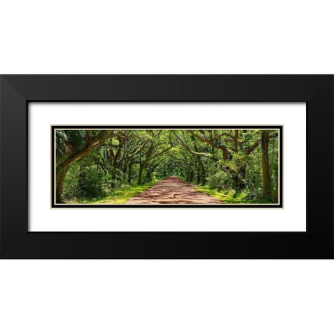 Country Road Panorama IV Black Modern Wood Framed Art Print with Double Matting by McLoughlin, James