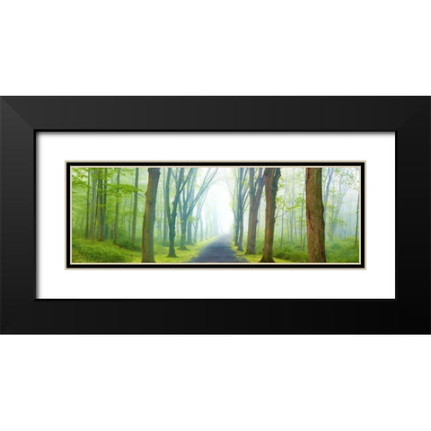 Country Road Panorama V Black Modern Wood Framed Art Print with Double Matting by McLoughlin, James