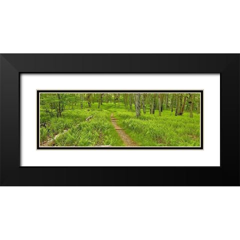 Country Road Panorama VI Black Modern Wood Framed Art Print with Double Matting by McLoughlin, James