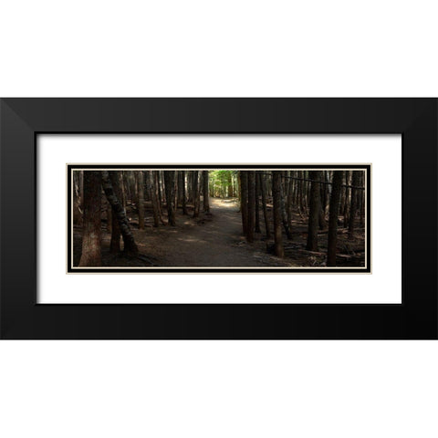 Country Road Panorama VII Black Modern Wood Framed Art Print with Double Matting by McLoughlin, James