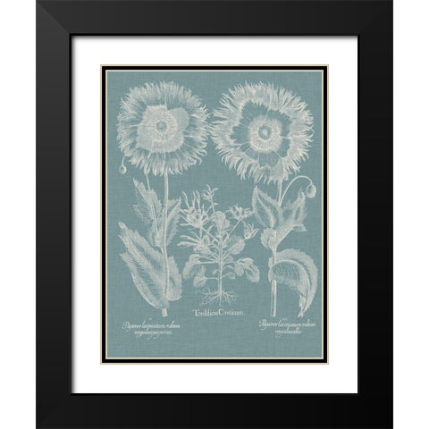 Besler Poppies I Black Modern Wood Framed Art Print with Double Matting by Besler, Basilius