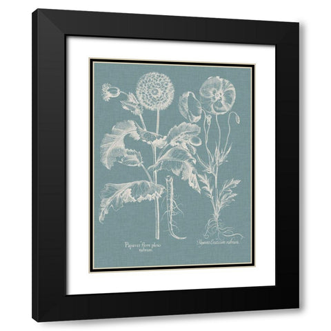 Besler Poppies II Black Modern Wood Framed Art Print with Double Matting by Besler, Basilius