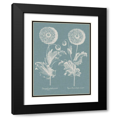 Besler Poppies III Black Modern Wood Framed Art Print with Double Matting by Besler, Basilius