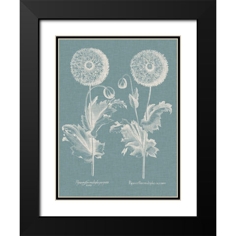 Besler Poppies III Black Modern Wood Framed Art Print with Double Matting by Besler, Basilius