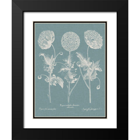 Besler Poppies IV Black Modern Wood Framed Art Print with Double Matting by Besler, Basilius