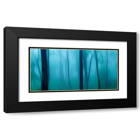 Harriman Woods II Black Modern Wood Framed Art Print with Double Matting by McLoughlin, James