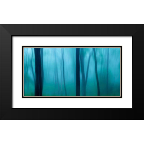 Harriman Woods II Black Modern Wood Framed Art Print with Double Matting by McLoughlin, James