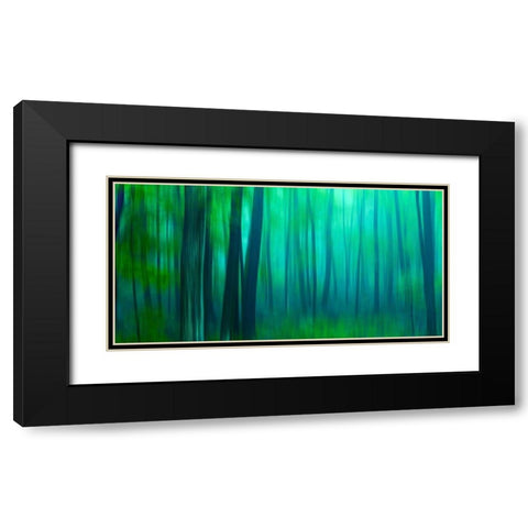 Harriman Woods III Black Modern Wood Framed Art Print with Double Matting by McLoughlin, James