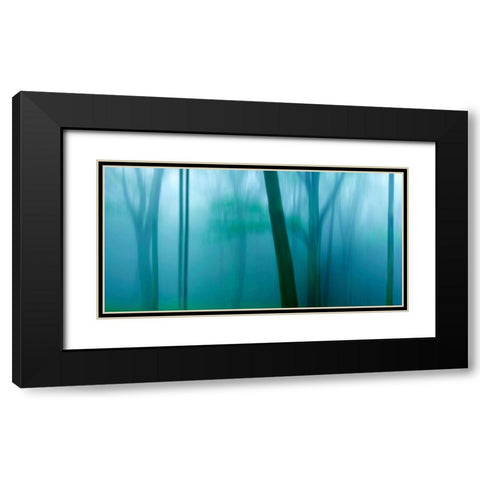 Harriman Woods IV Black Modern Wood Framed Art Print with Double Matting by McLoughlin, James