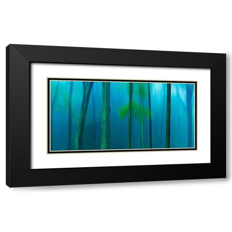 Harriman Woods V Black Modern Wood Framed Art Print with Double Matting by McLoughlin, James