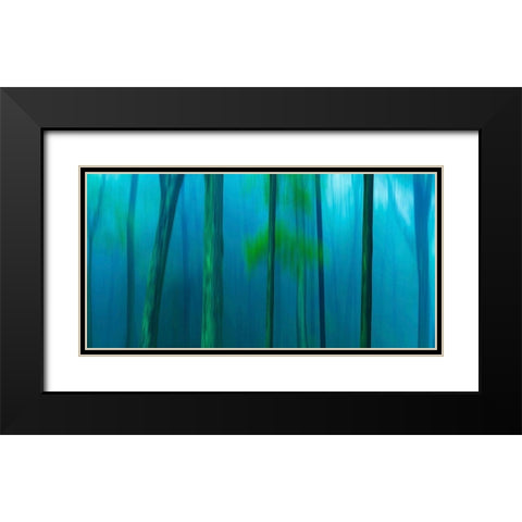 Harriman Woods V Black Modern Wood Framed Art Print with Double Matting by McLoughlin, James