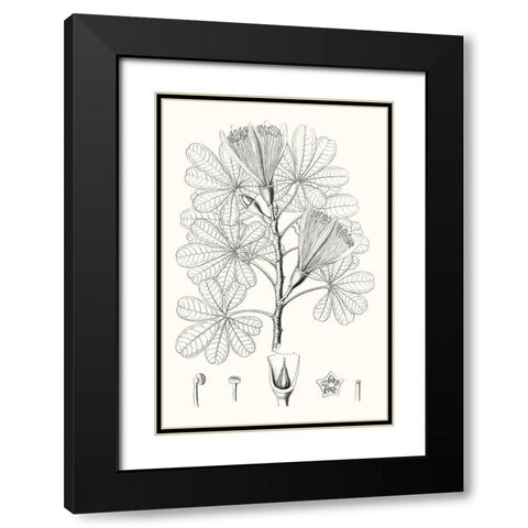 Illustrative Leaves II Black Modern Wood Framed Art Print with Double Matting by Vision Studio