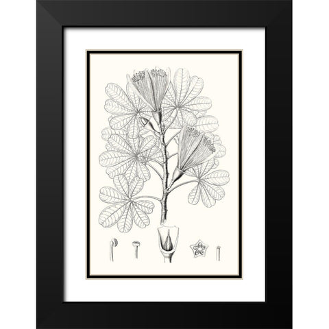Illustrative Leaves II Black Modern Wood Framed Art Print with Double Matting by Vision Studio