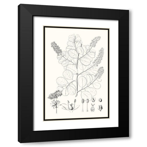 Illustrative Leaves IV Black Modern Wood Framed Art Print with Double Matting by Vision Studio