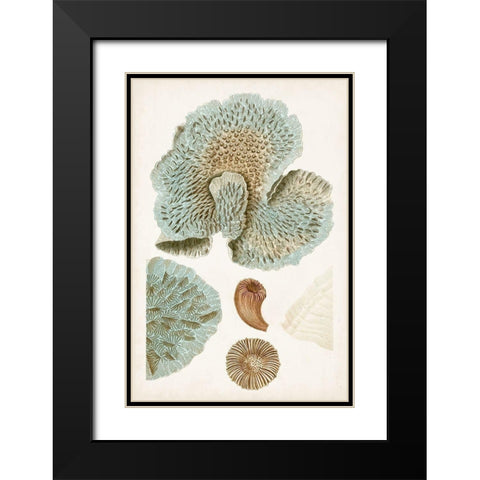 Coastal Curiosity V Black Modern Wood Framed Art Print with Double Matting by Unknown