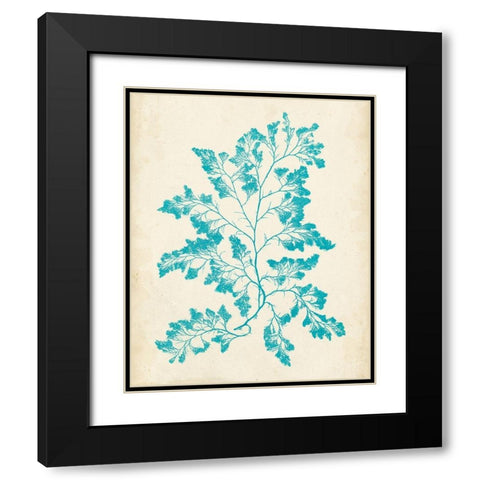 Aquamarine Seaweed I Black Modern Wood Framed Art Print with Double Matting by Vision Studio