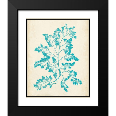 Aquamarine Seaweed I Black Modern Wood Framed Art Print with Double Matting by Vision Studio