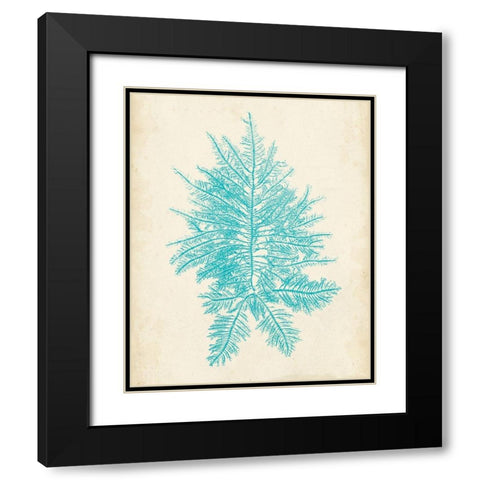 Aquamarine Seaweed III Black Modern Wood Framed Art Print with Double Matting by Vision Studio