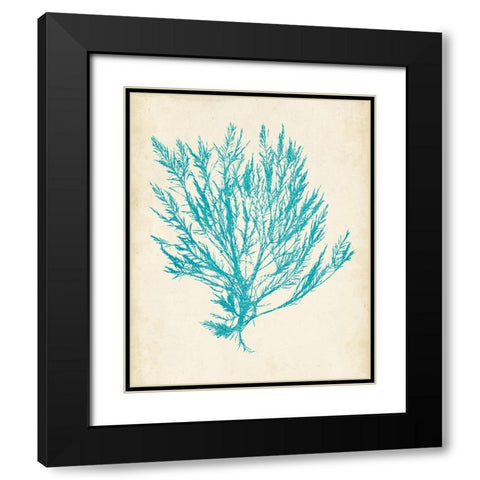 Aquamarine Seaweed IV Black Modern Wood Framed Art Print with Double Matting by Vision Studio