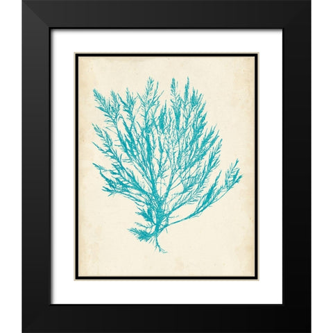 Aquamarine Seaweed IV Black Modern Wood Framed Art Print with Double Matting by Vision Studio