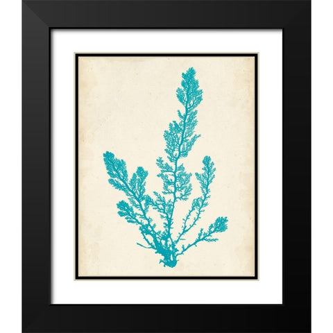 Aquamarine Seaweed VI Black Modern Wood Framed Art Print with Double Matting by Vision Studio