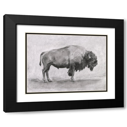 Wild Bison Study I Black Modern Wood Framed Art Print with Double Matting by Scarvey, Emma